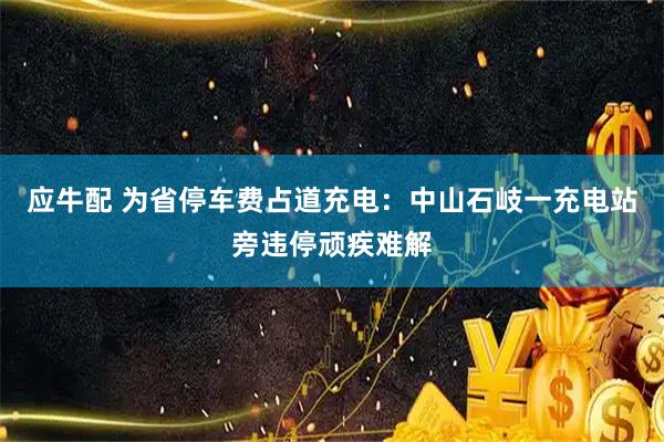 应牛配 为省停车费占道充电：中山石岐一充电站旁违停顽疾难解